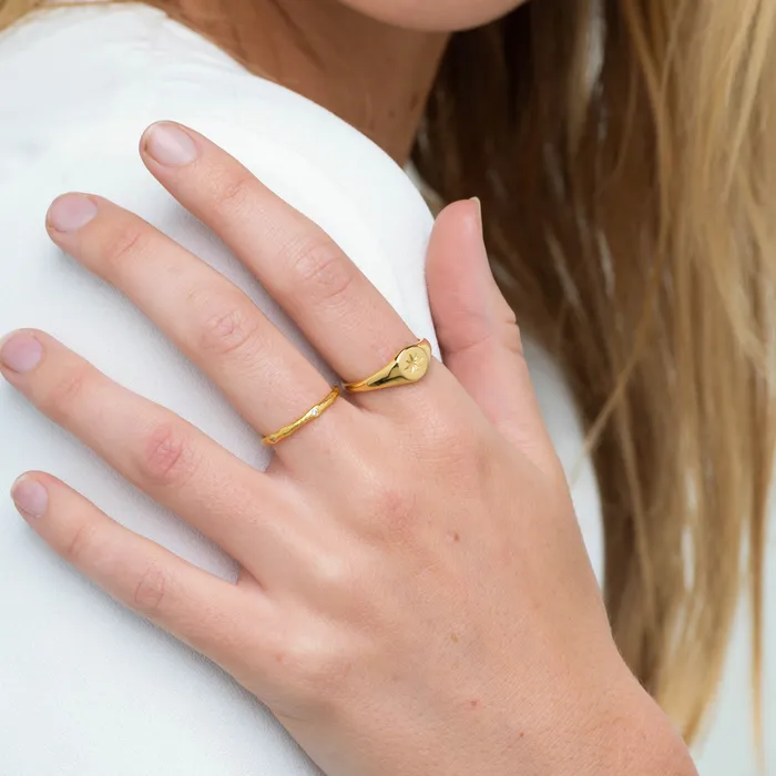 Rings Camile Stone North Star Signet Ring